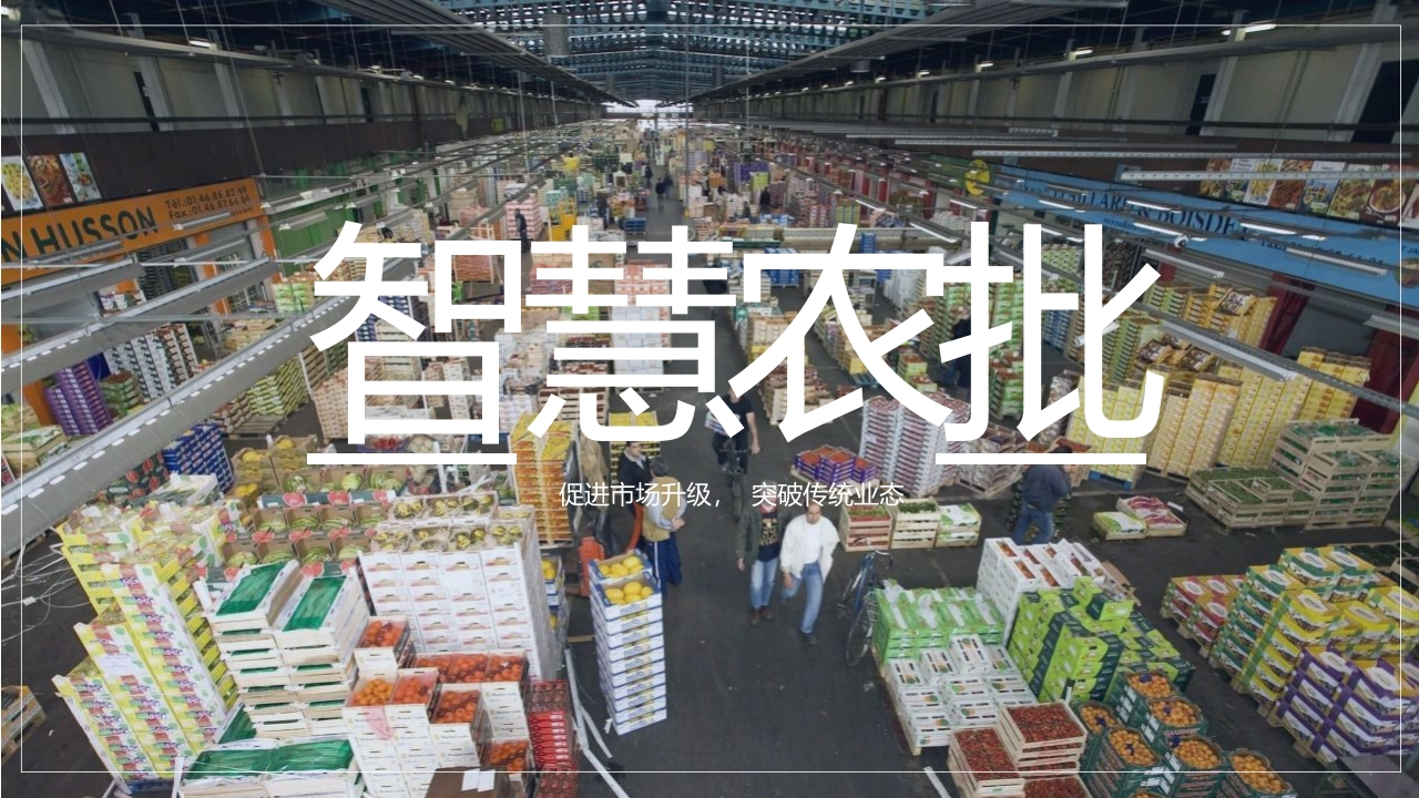 智慧农批解决方案[28页PPT]